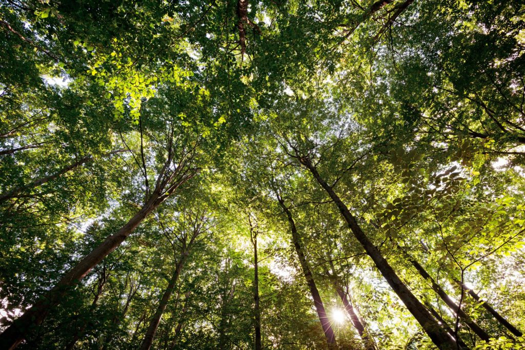 &copy;Harald-Lachner_20200924_IMG_0006