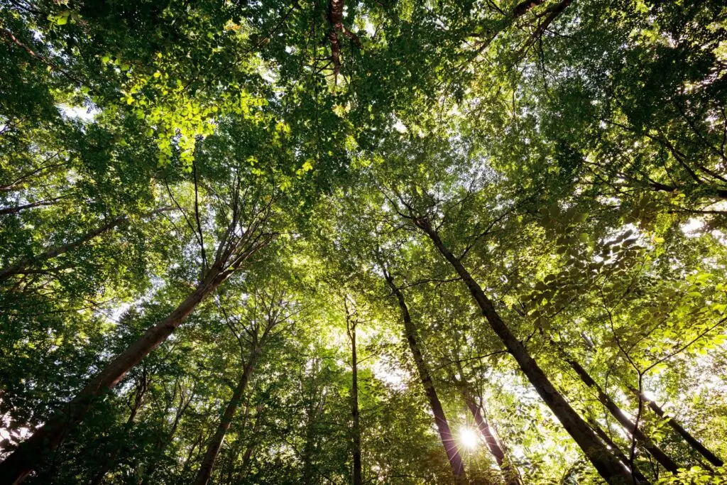 &copy;Harald-Lachner_20200924_IMG_0006