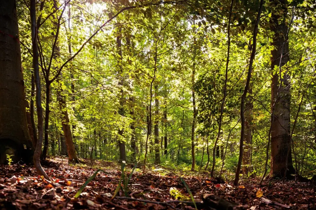 &copy;Harald-Lachner_20200924_IMG_0036