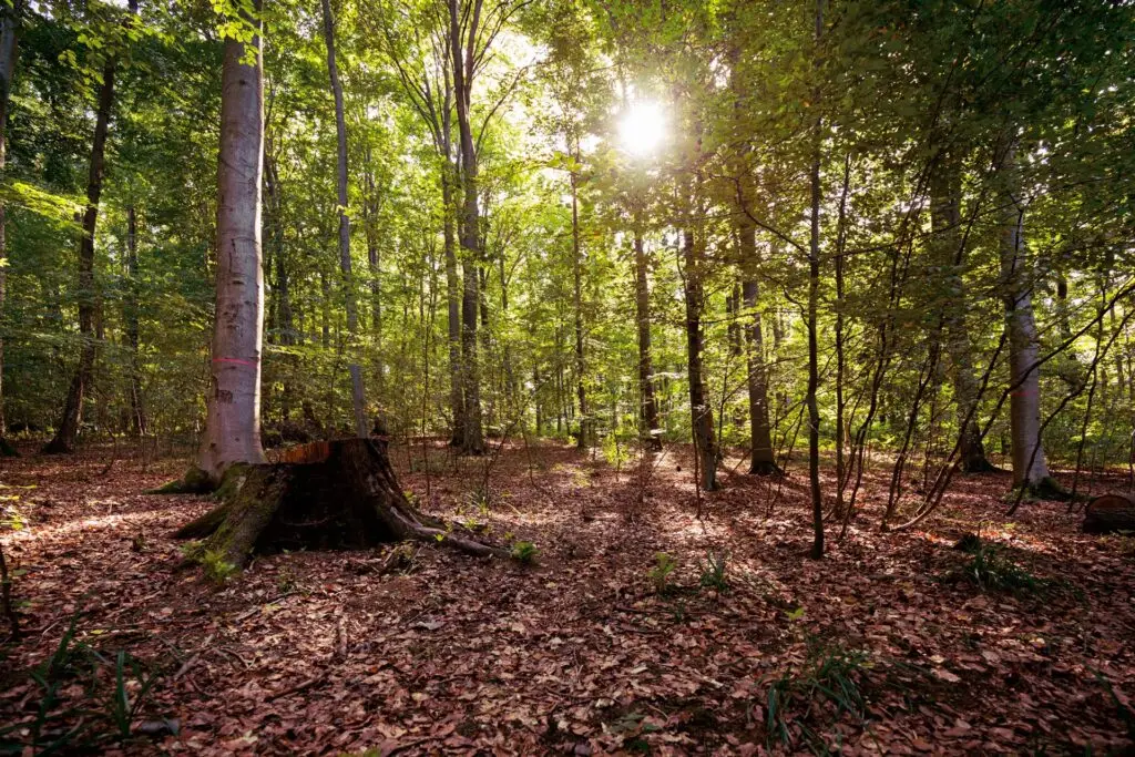 &copy;Harald-Lachner_20200924_IMG_0054