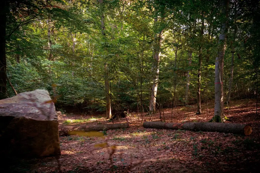 &copy;Harald-Lachner_20200924_IMG_0057