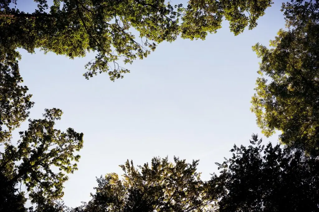 &copy;Harald-Lachner_20200924_IMG_0070