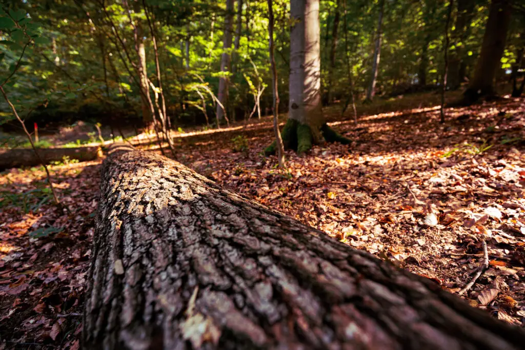 Section-Vorsorge-&copy;-Harald-Lachner