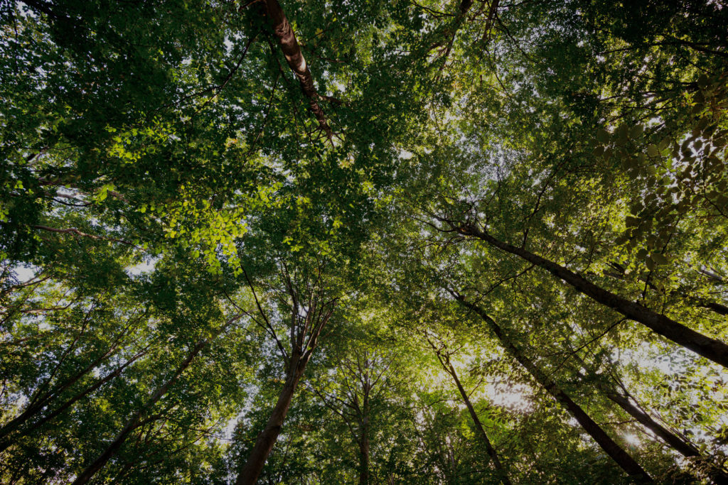 ©Harald-Lachner_Entry2